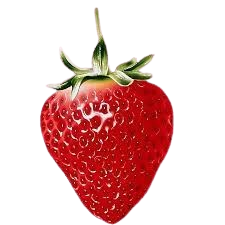 Fresa fresca